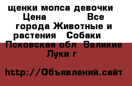 щенки мопса девочки › Цена ­ 25 000 - Все города Животные и растения » Собаки   . Псковская обл.,Великие Луки г.